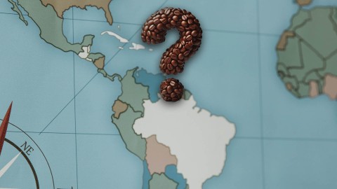 Crisis in Venezuela: impact on the coffee market