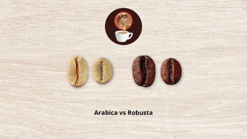 Arabica and Robusta: the two souls of Italian coffee