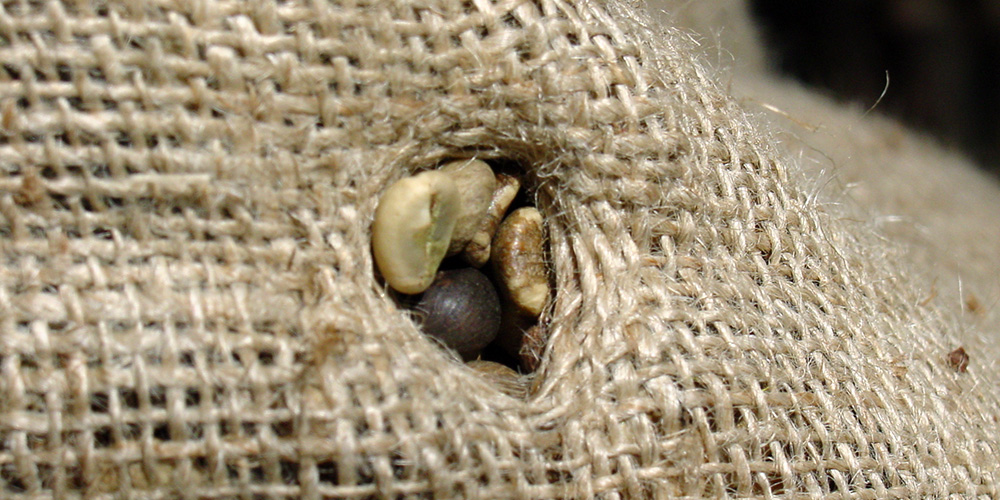 Burlap sack with raw coffee inspection hole